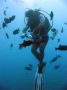 07Moorea - 25